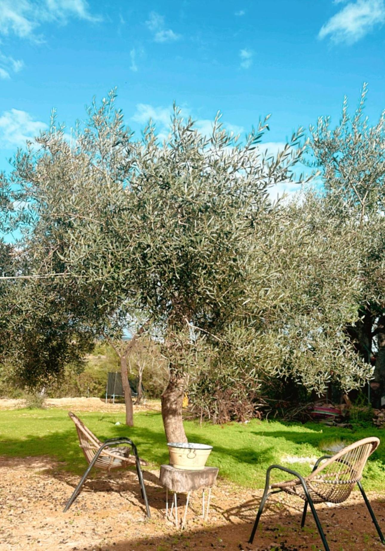 Villa La Quinta Da Liberdade - Ferme De Charme En Algarve Pechão Exterior foto